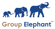 Group Elephant